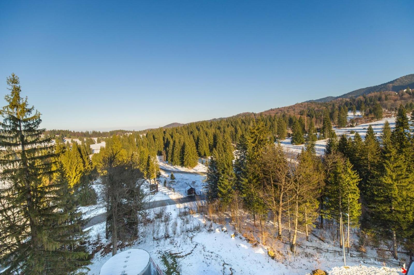 Art Gallery Apartment In Silver Mountain Poiana Brasov Buitenkant foto